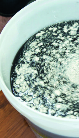 “A galaxy” of yeast