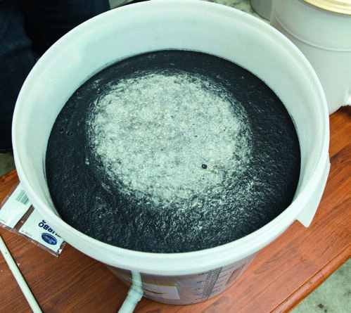 Fermenting surface “gunk”