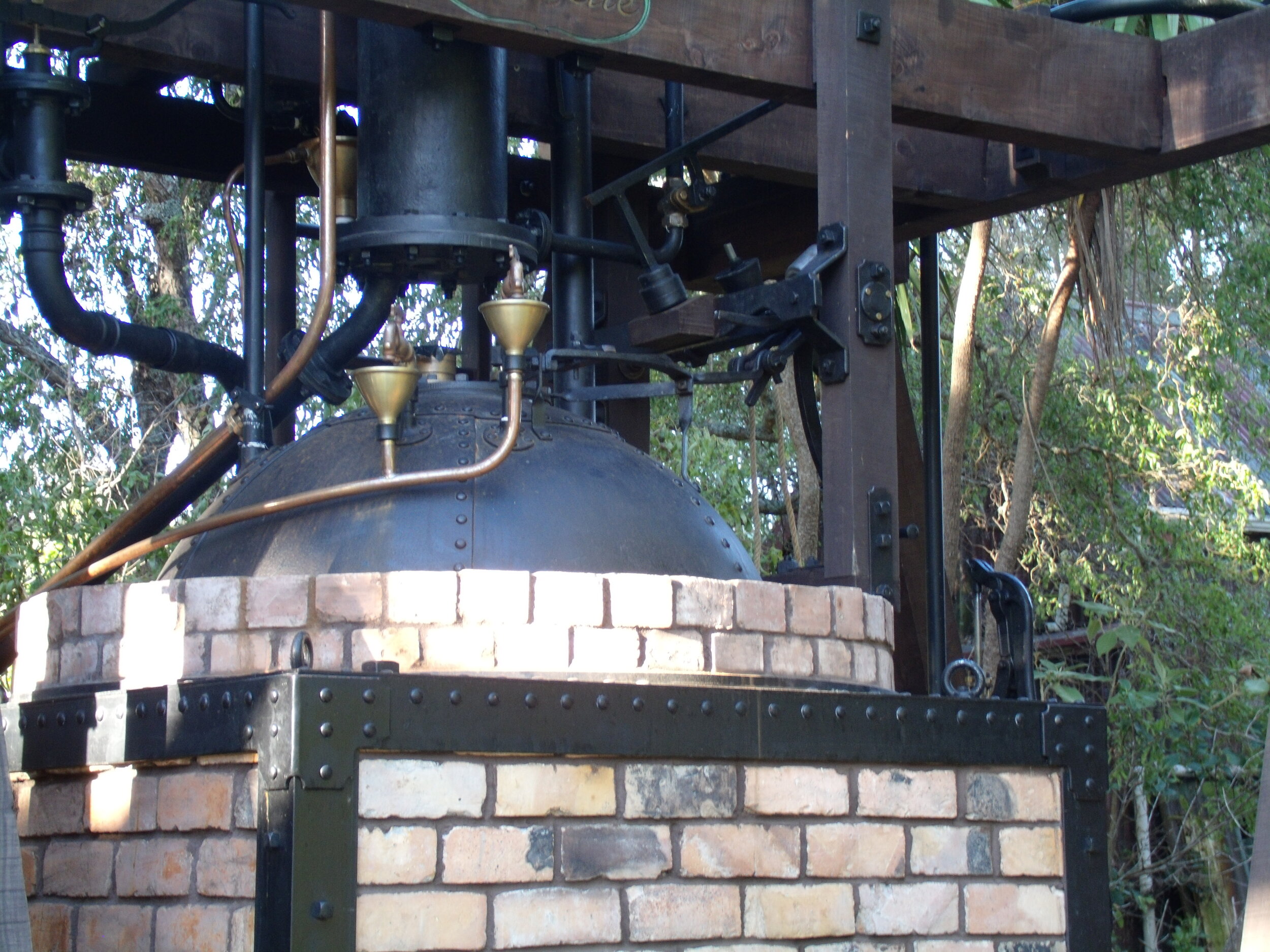 And they call her Gloribelle