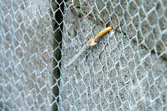 Nail holds mesh for rendering.