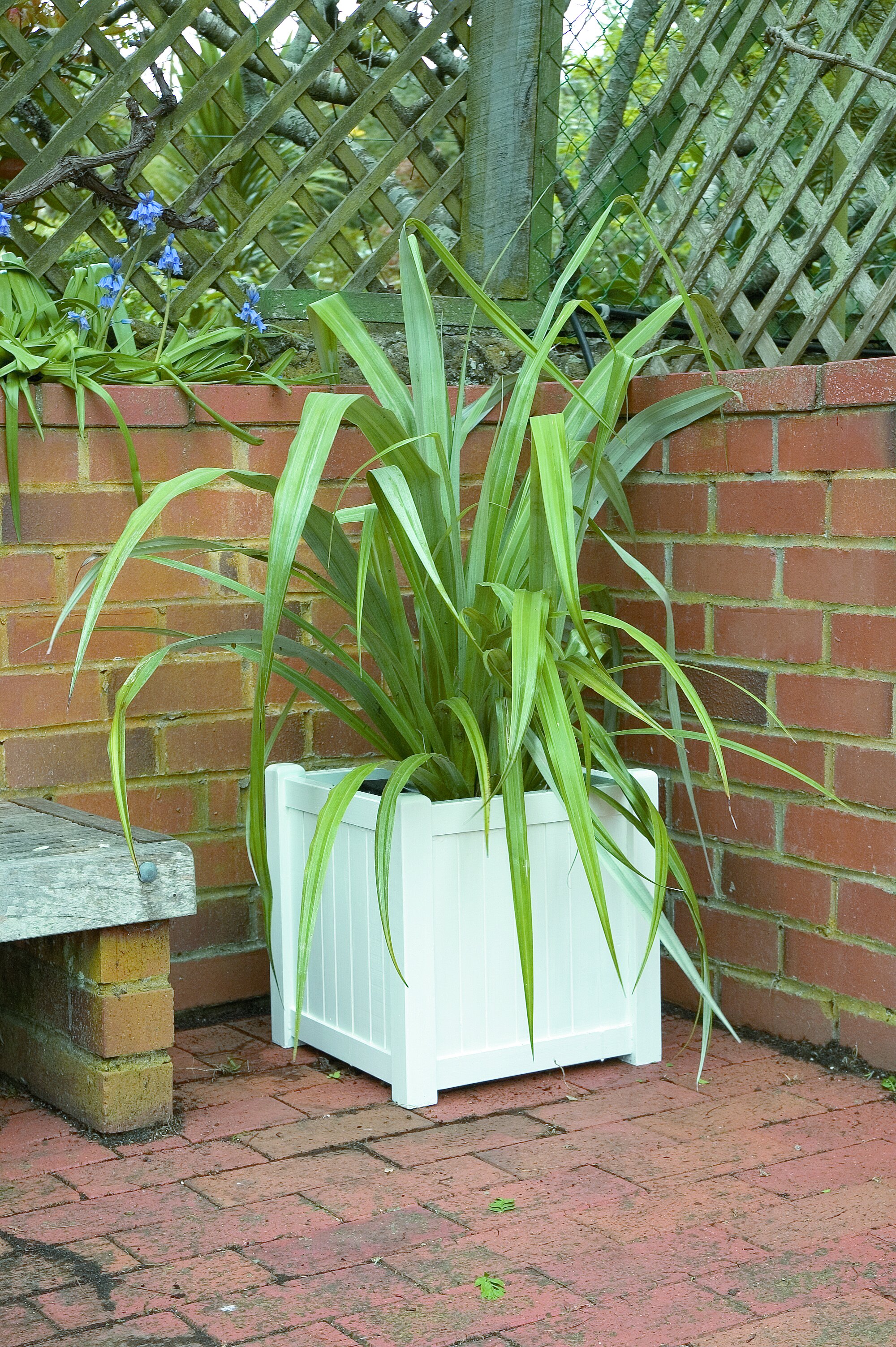 planter hero.jpg