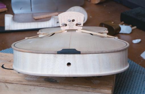 Black saddle at the centre of the bottom bout of the body.