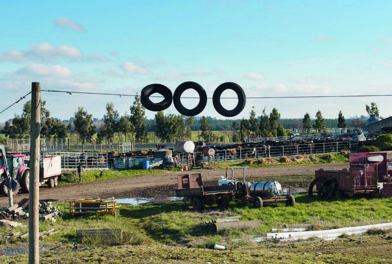 Tyres help prevent impact with the pole. “I’ve had some bruises and black eyes to show for it in the early days.”