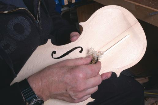 Thumb planes shape proﬁle.