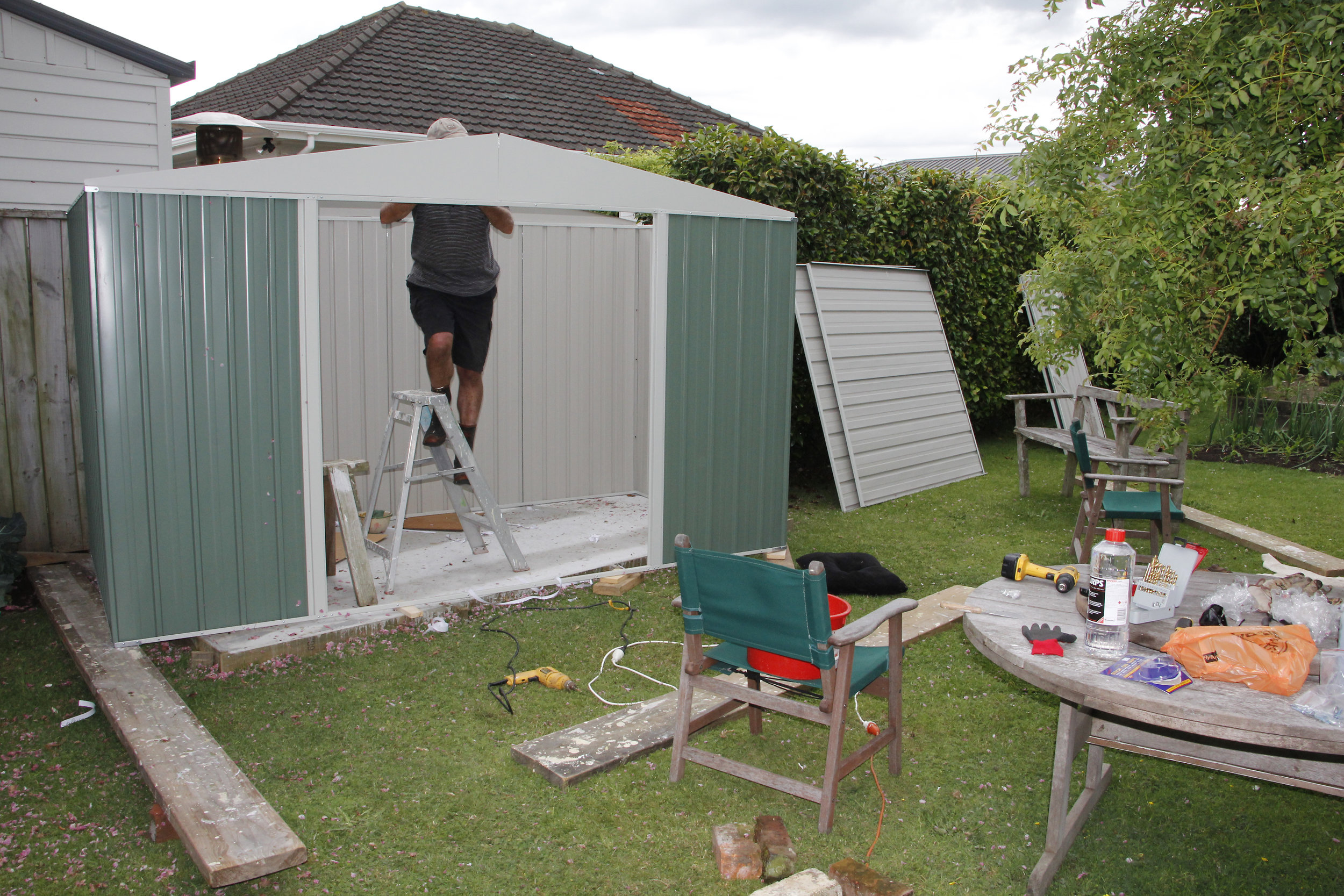 shed 12 coming on #1.jpg