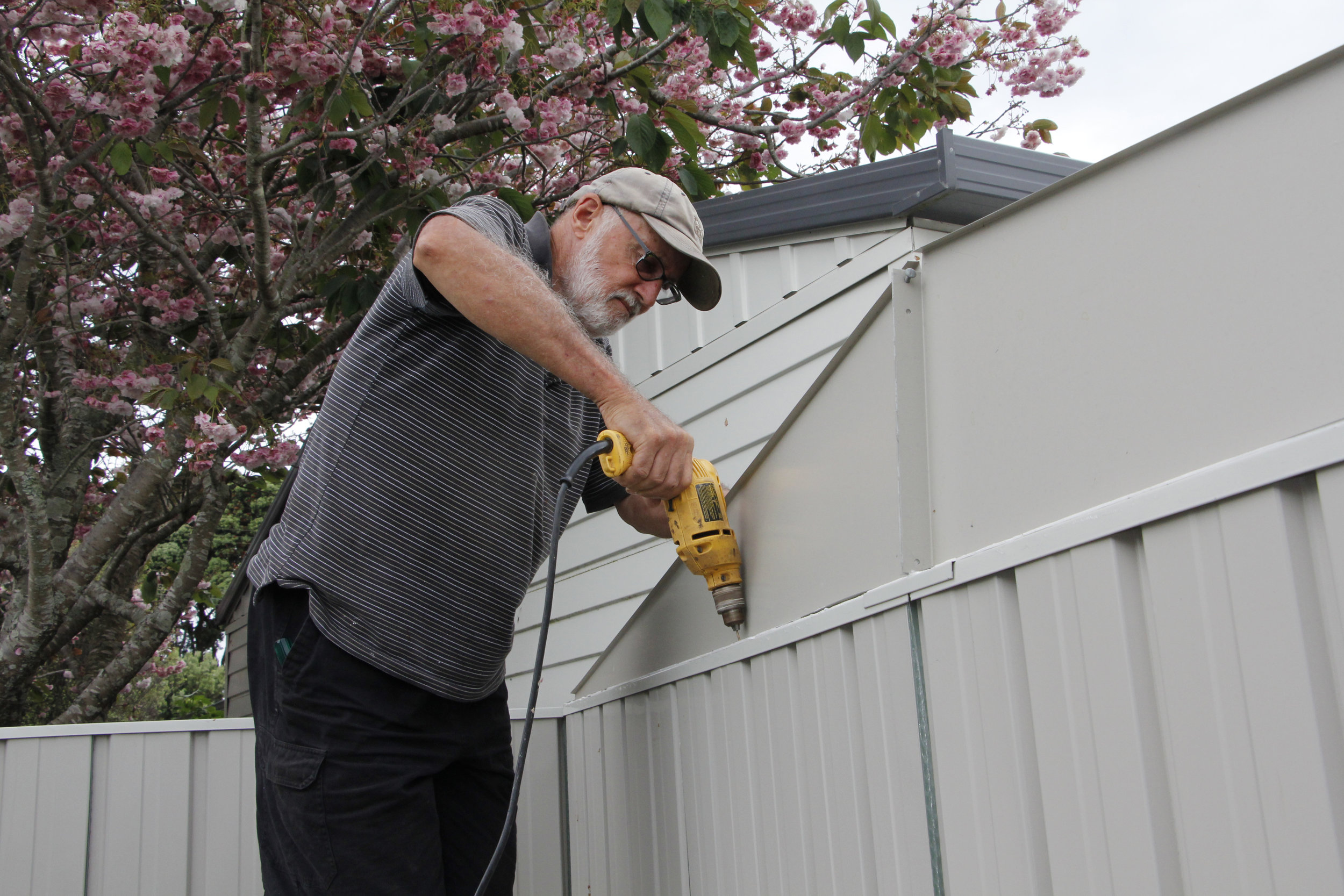 shed 13 roof prep #2.jpg
